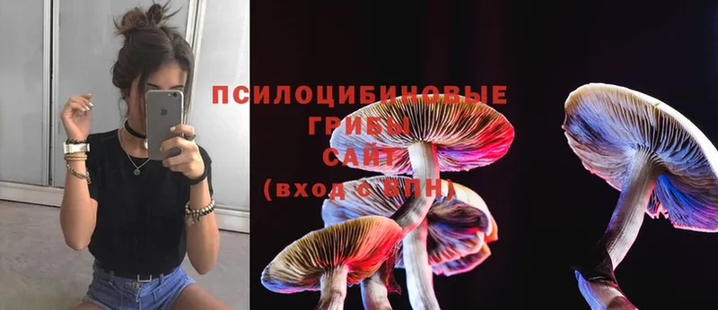 Псилоцибиновые грибы Psilocybe  МЕГА   Островной 